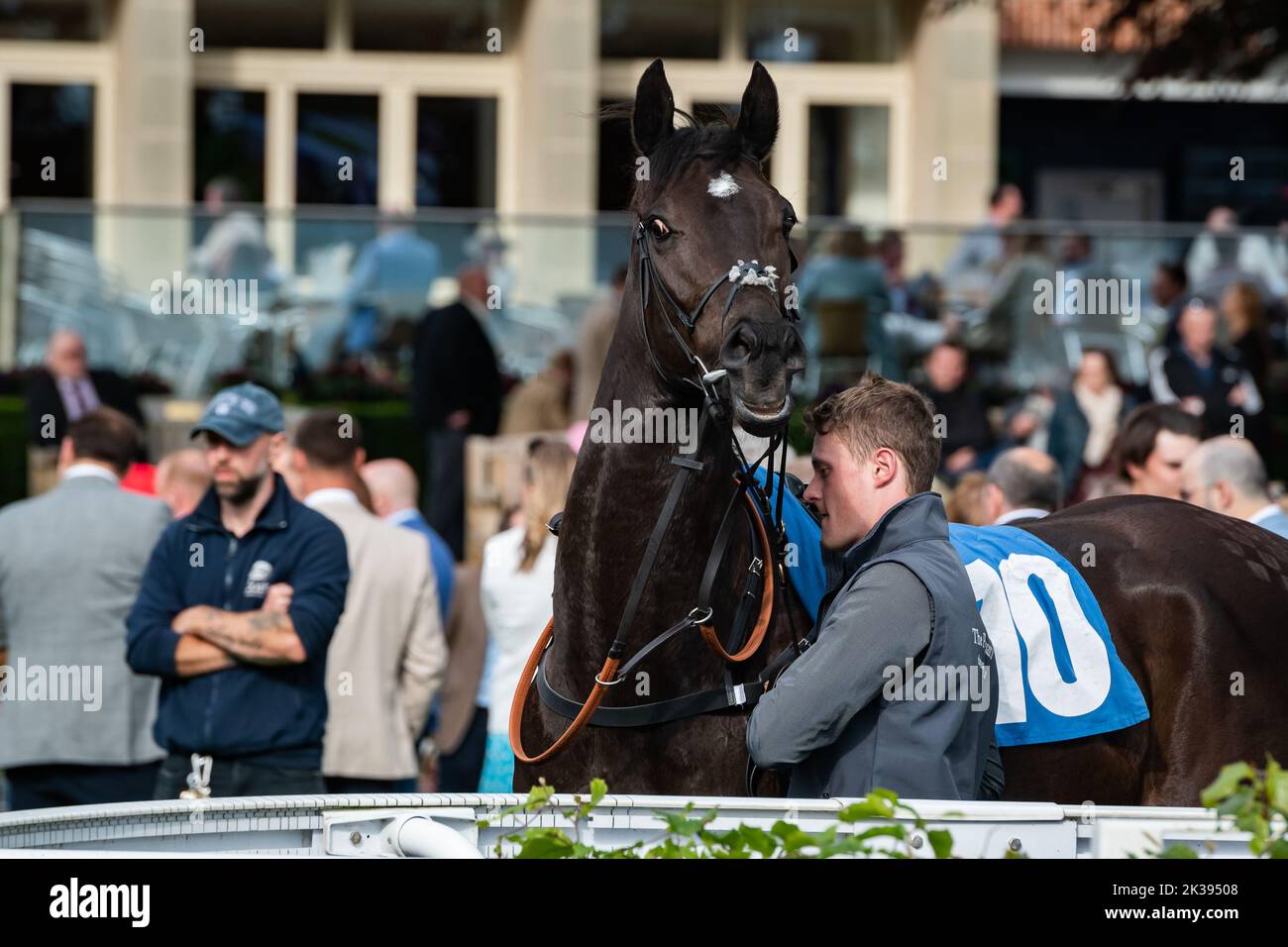 Scene del secondo giorno del Tribute Weekend dell'ippodromo di York, domenica 22nd maggio 2022, con la Sky Bet Sunday Series Foto Stock