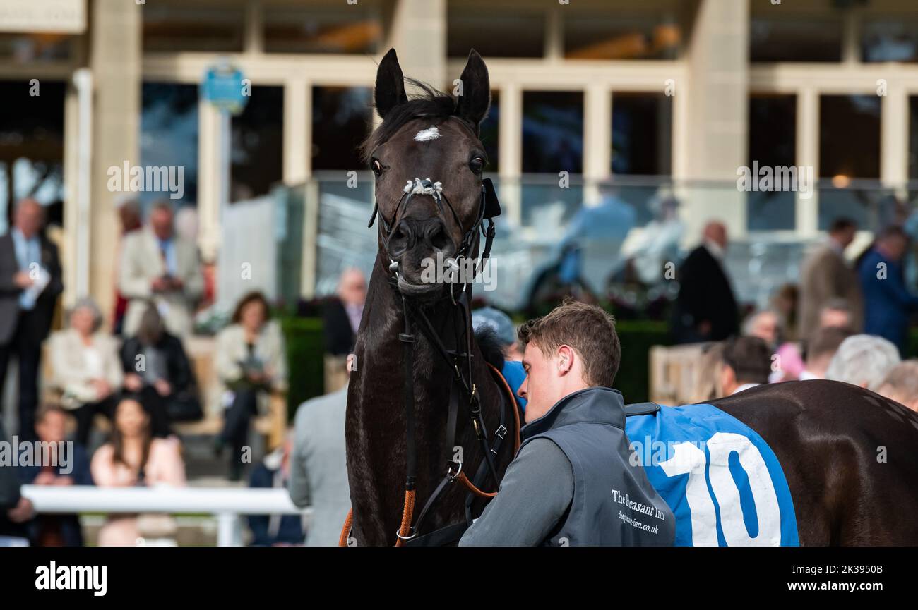 Scene del secondo giorno del Tribute Weekend dell'ippodromo di York, domenica 22nd maggio 2022, con la Sky Bet Sunday Series Foto Stock