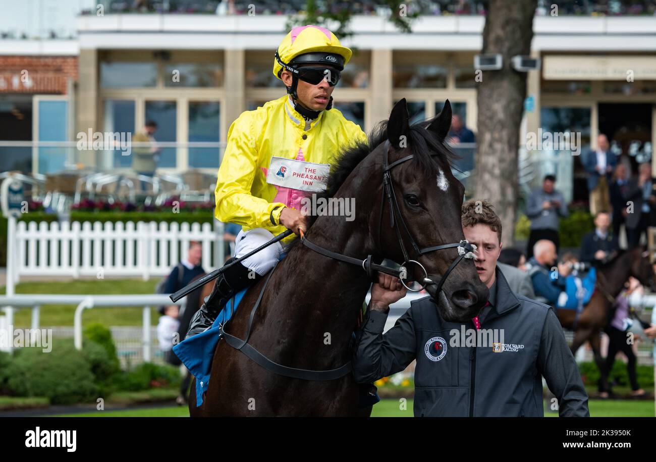 Scene del secondo giorno del Tribute Weekend dell'ippodromo di York, domenica 22nd maggio 2022, con la Sky Bet Sunday Series Foto Stock