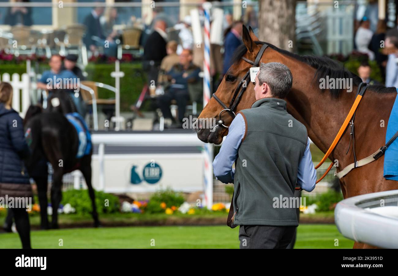 Scene del secondo giorno del Tribute Weekend dell'ippodromo di York, domenica 22nd maggio 2022, con la Sky Bet Sunday Series Foto Stock