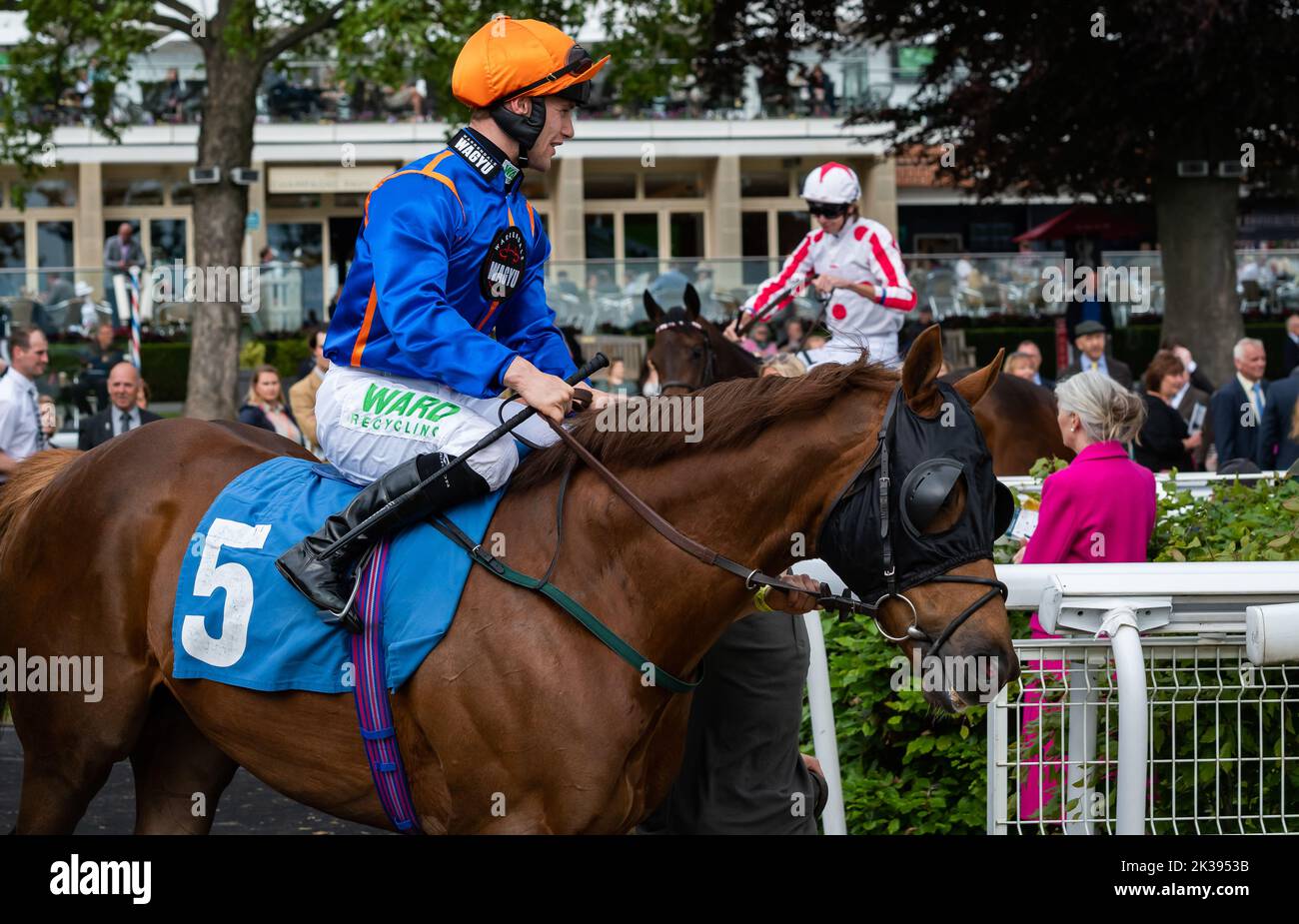Scene del secondo giorno del Tribute Weekend dell'ippodromo di York, domenica 22nd maggio 2022, con la Sky Bet Sunday Series Foto Stock