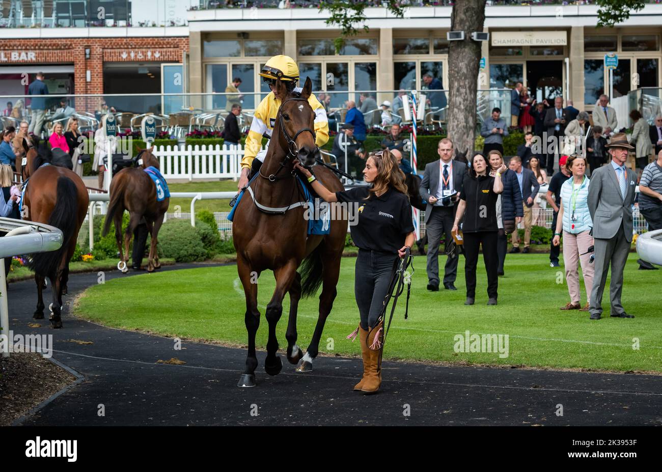 Scene del secondo giorno del Tribute Weekend dell'ippodromo di York, domenica 22nd maggio 2022, con la Sky Bet Sunday Series Foto Stock
