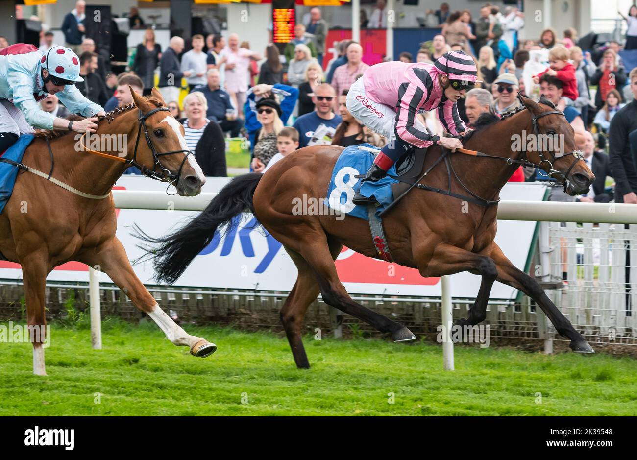 Scene del secondo giorno del Tribute Weekend dell'ippodromo di York, domenica 22nd maggio 2022, con la Sky Bet Sunday Series Foto Stock