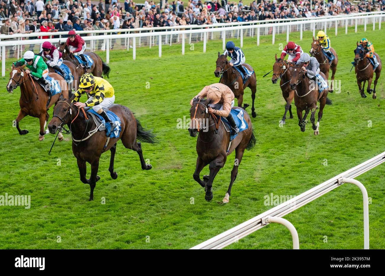 Scene del secondo giorno del Tribute Weekend dell'ippodromo di York, domenica 22nd maggio 2022, con la Sky Bet Sunday Series Foto Stock