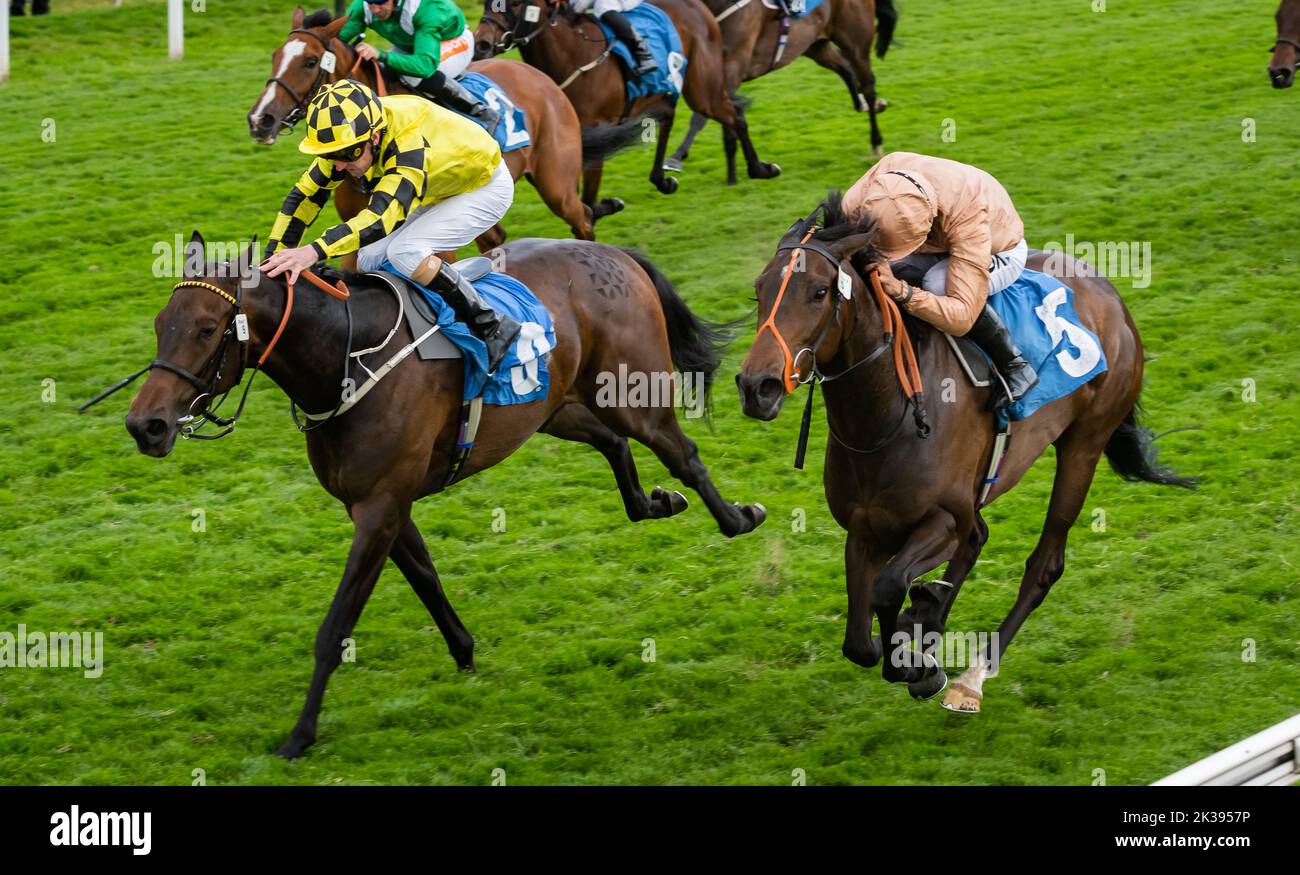 Scene del secondo giorno del Tribute Weekend dell'ippodromo di York, domenica 22nd maggio 2022, con la Sky Bet Sunday Series Foto Stock