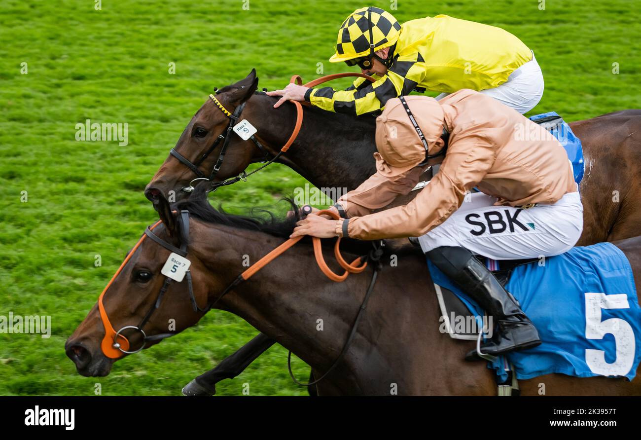 Scene del secondo giorno del Tribute Weekend dell'ippodromo di York, domenica 22nd maggio 2022, con la Sky Bet Sunday Series Foto Stock