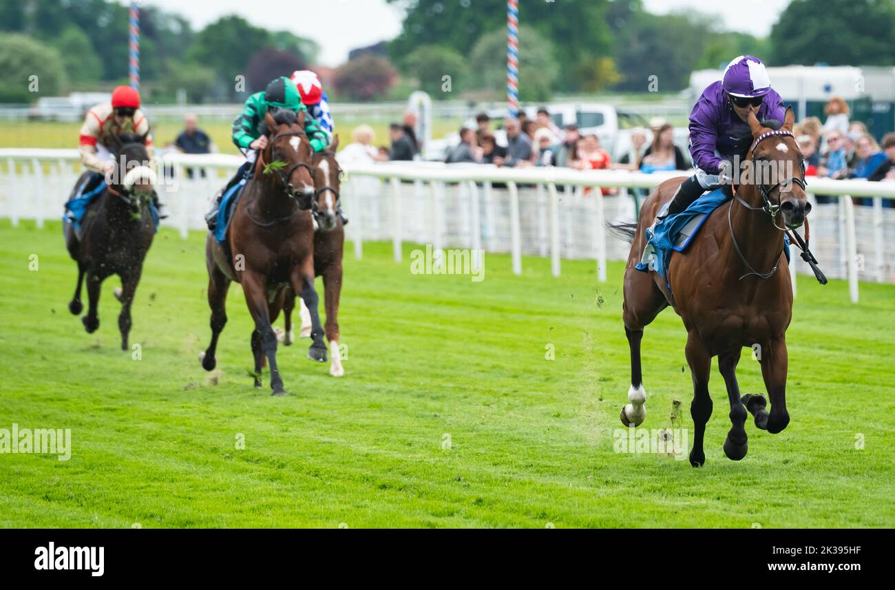 Scene del secondo giorno del Tribute Weekend dell'ippodromo di York, domenica 22nd maggio 2022, con la Sky Bet Sunday Series Foto Stock