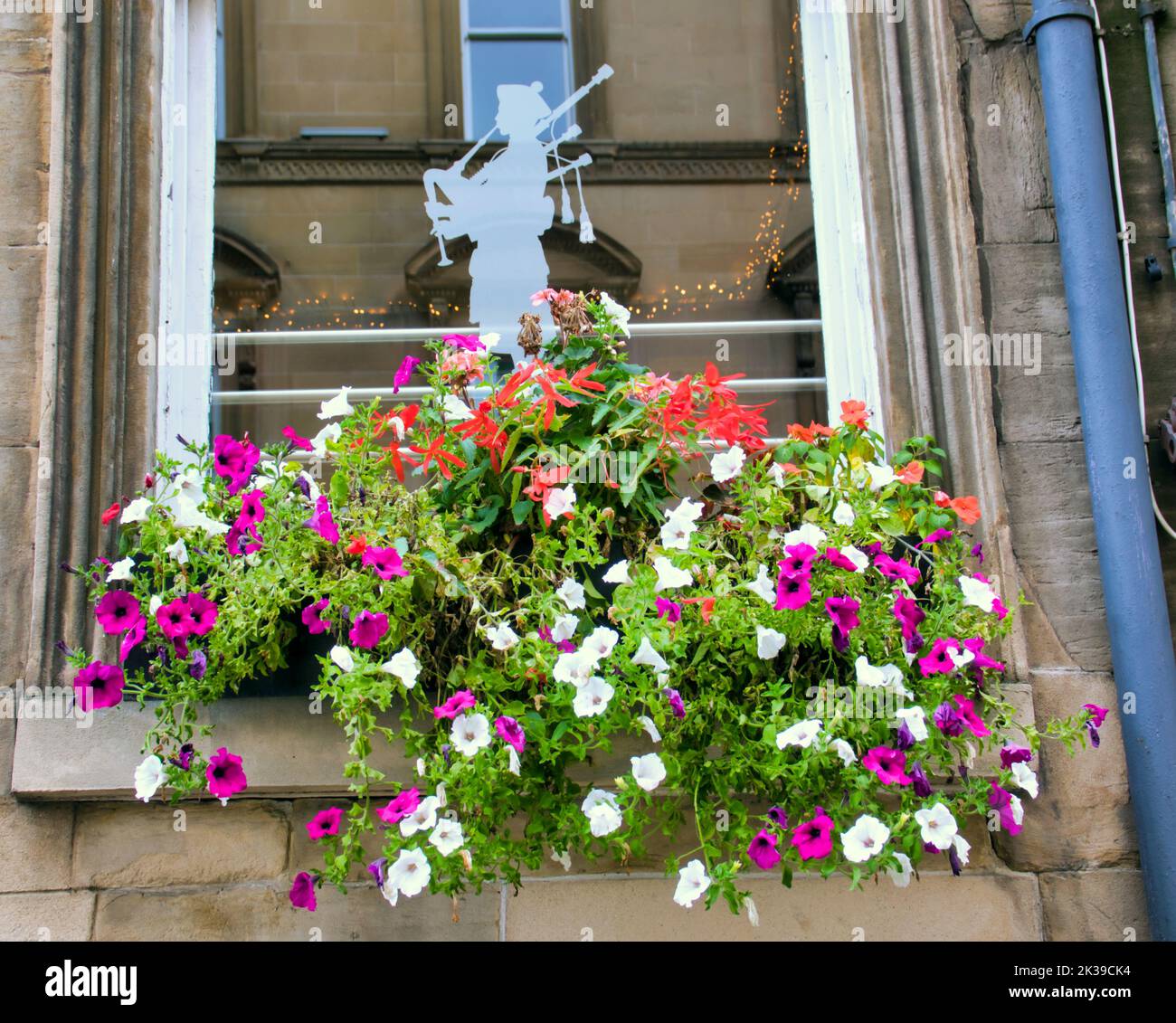 Pun finestra silhouette piper con cesto di fiori in primo piano Glasgow, Scozia, Regno Unito Foto Stock