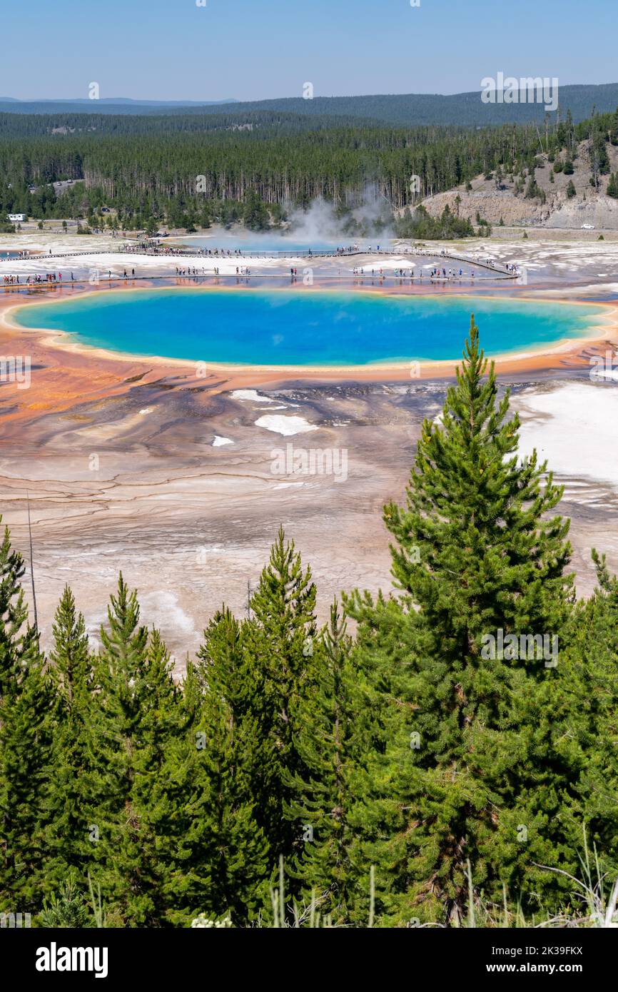 Vista ritratto della Grande Primavera prismatica dalle Cascate Fairy si affaccia sul Parco Nazionale di Yellowstone Foto Stock