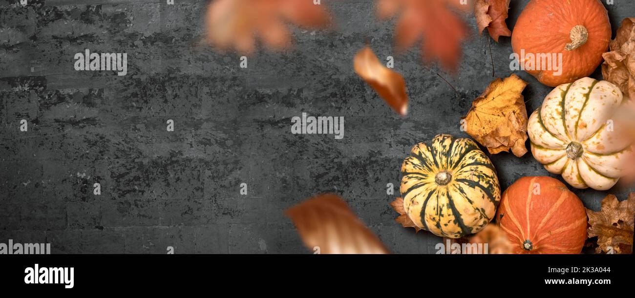 Una stagione di ringraziamento sfondo autunno con zucche e foglie falliing. Stagione autunnale halloween layout. Foto Stock