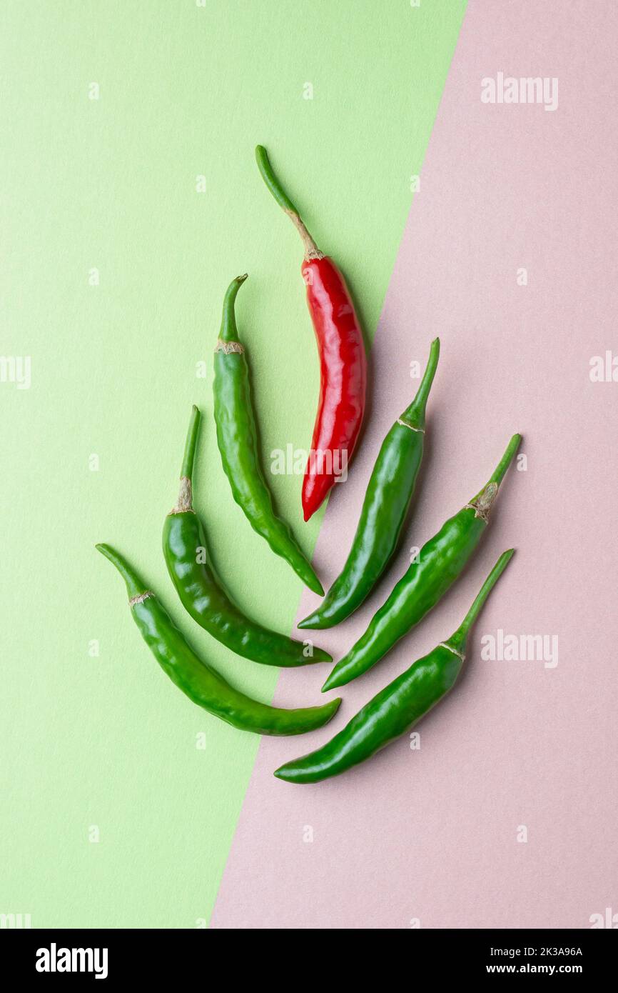 peperoncini verdi e rossi disposti su fondo grigio testurizzato di colore verde chiaro e rosa, verdure comuni mature e immature utilizzate per il loro gusto speziato Foto Stock
