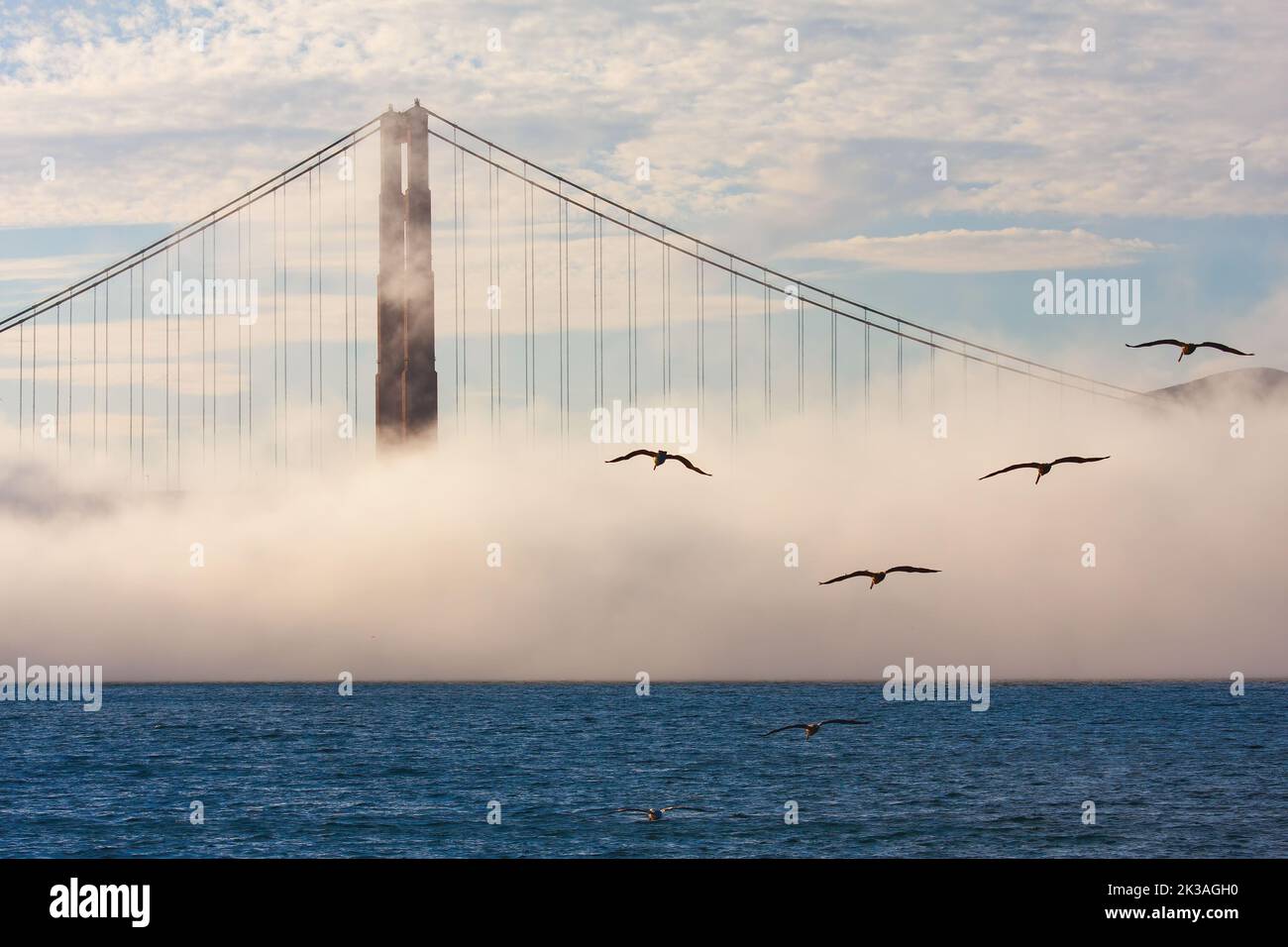 Settimana della flotta di San Francisco - spettacolo aereo Foto Stock