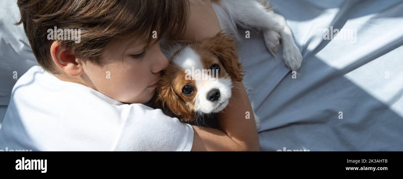 Il ragazzo con un cane in abbraccio si trova a letto. Dormire con gli animali domestici. Carino cavalier cucciolo re charles spaniel. Banner. Foto Stock
