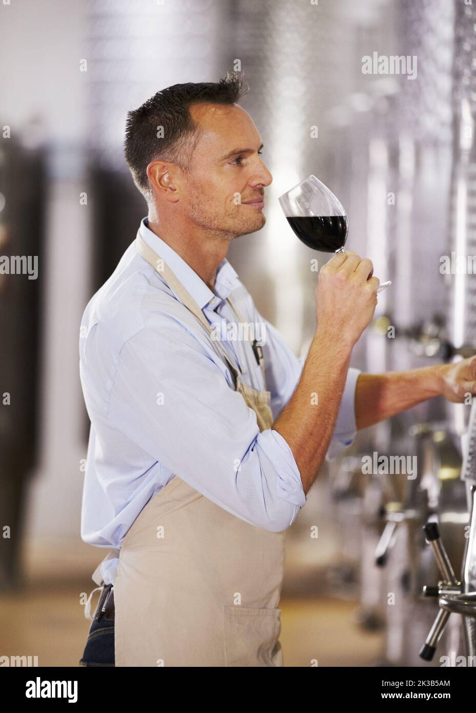 Controllo di qualità. Un produttore di vino maturo che prova una partita del suo vino rosso. Foto Stock