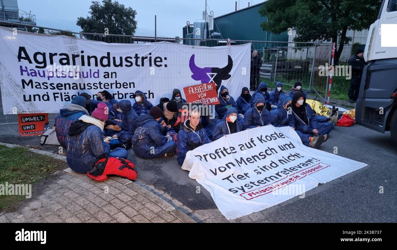 Badbergen, Germania. 26th Set, 2022. I dimostranti si siedono durante una protesta non annunciata di fronte a un impianto della società di macellazione Tönnies. Secondo la polizia, "insieme contro l'industria animale”, un gruppo di attivisti per i diritti degli animali, è responsabile della manifestazione. In una dichiarazione, gli attivisti hanno accusato la corporazione di sfruttare gli esseri umani e gli animali e di distruggere il clima e la natura. Credit: Ulf Zurcutter/Nord-West-Media TV /dpa/Alamy Live News Foto Stock