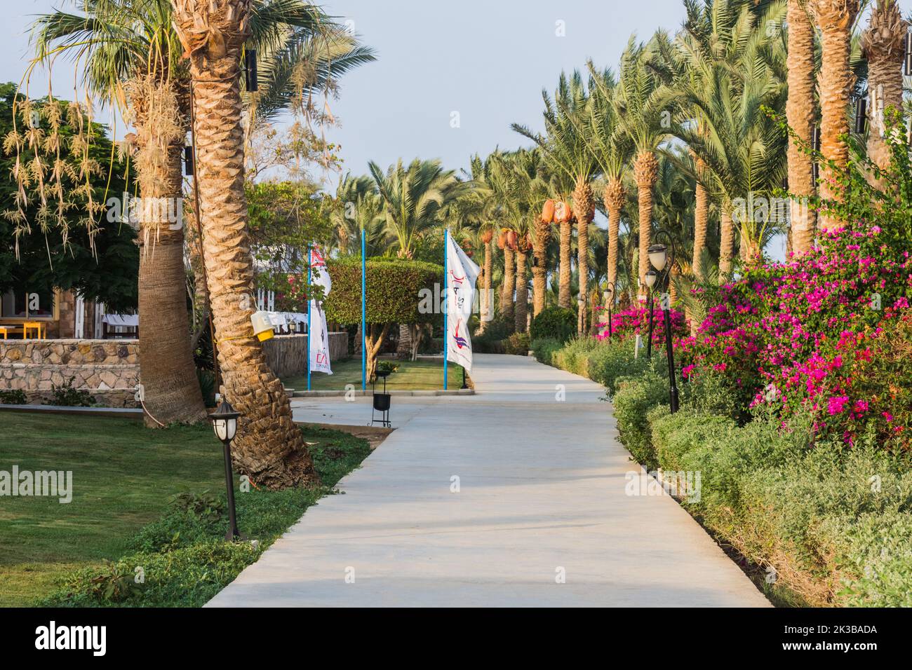 meravigliosi sentieri da un resort con palme e fiori in egitto Foto Stock