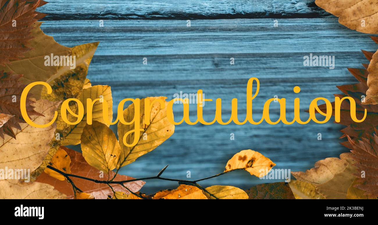 Immagine del testo di congratulazione sulle foglie su sfondo di legno Foto Stock
