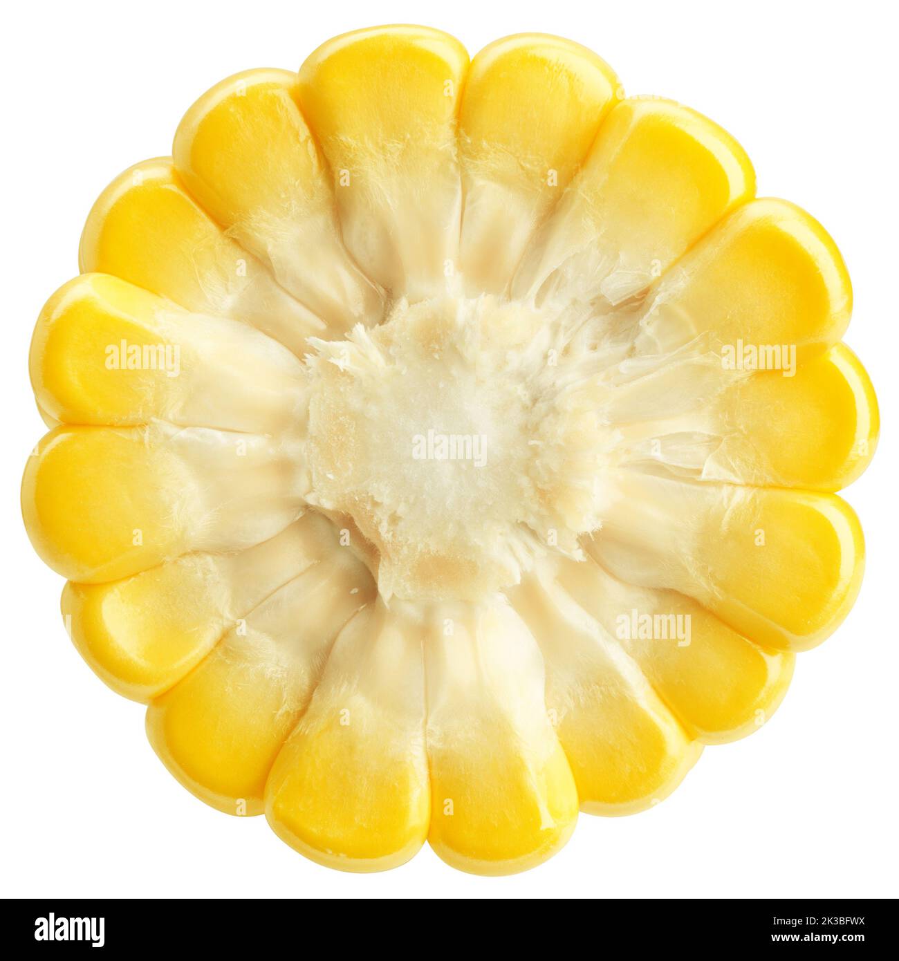corn ear, isolato su sfondo bianco, percorso di ritaglio, profondità di campo completa Foto Stock