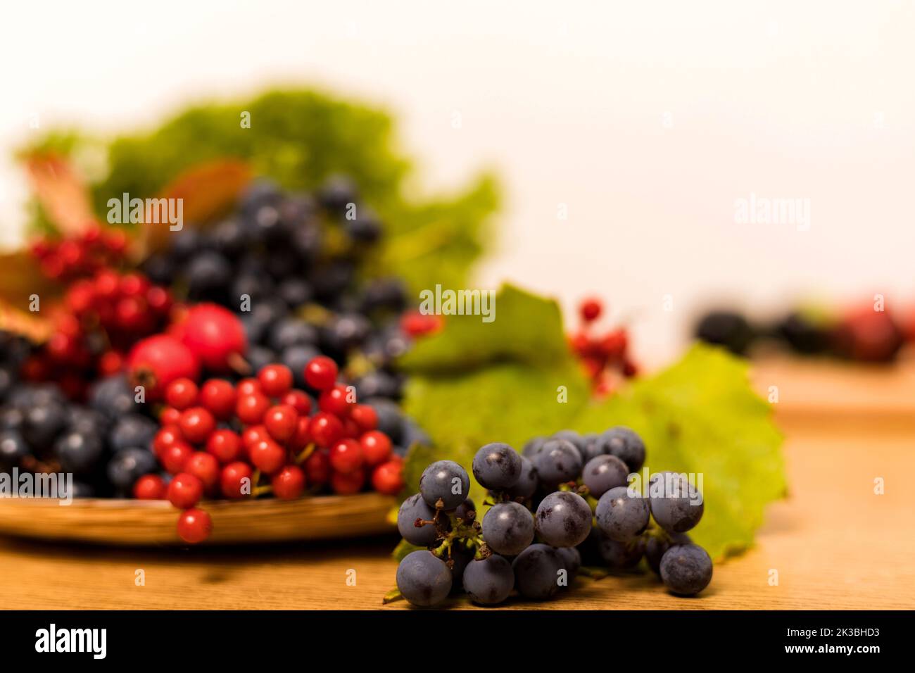 Composizione autunnale dei frutti sul tavolo su sfondo bianco Foto Stock