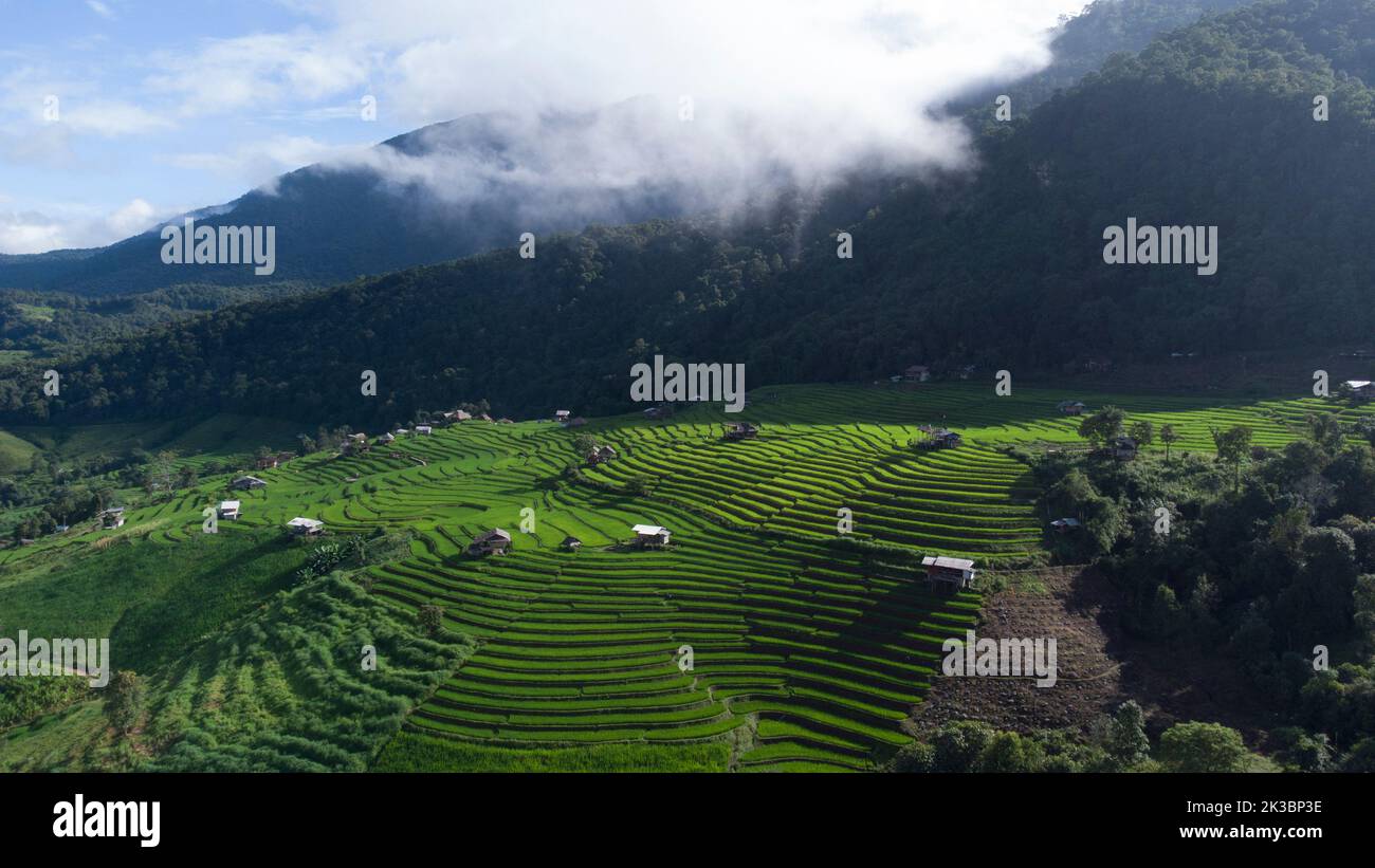 Vista aerea bella di piccola casa e risaie terrazzi campo a pabongpaing villaggio risaie terrazze Mae-Jam Chiang mai, Thailandia. Locale naturale biologico Foto Stock