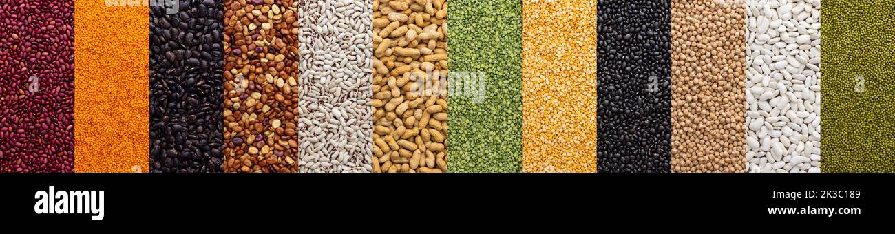Banner di diversi tipi di legumi, ceci e piselli, fagioli e lenticchie colorate, fagioli e arachidi, vista dall'alto Foto Stock