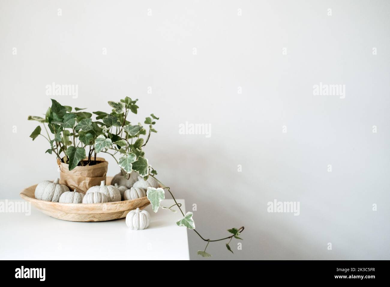 Banner per il giorno del Ringraziamento a zero rifiuti eco-compatibile e sostenibile. Minimo giorno del Ringraziamento Halloween composizione decorativa di zucche di argilla e piante di casa verde Foto Stock