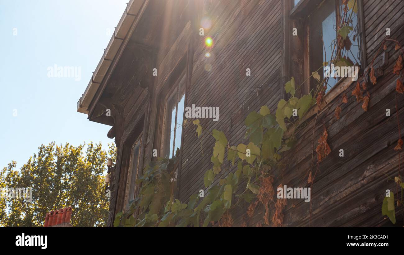 Casa di legno con la luce del sole che cade su di esso e circondata da vigneto, punto di riferimento con sole e cielo blu, idea di costruzione e architettura, vecchia casa di famiglia Foto Stock