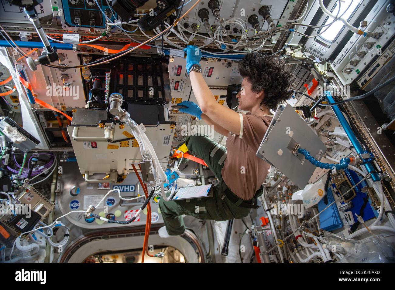 ISS - 10 agosto 2022 - l'astronauta e spedizione dell'ESA 67 Samantha Cristoforetti, ingegnere di volo, scambia campioni all'interno del fluido S. Foto Stock