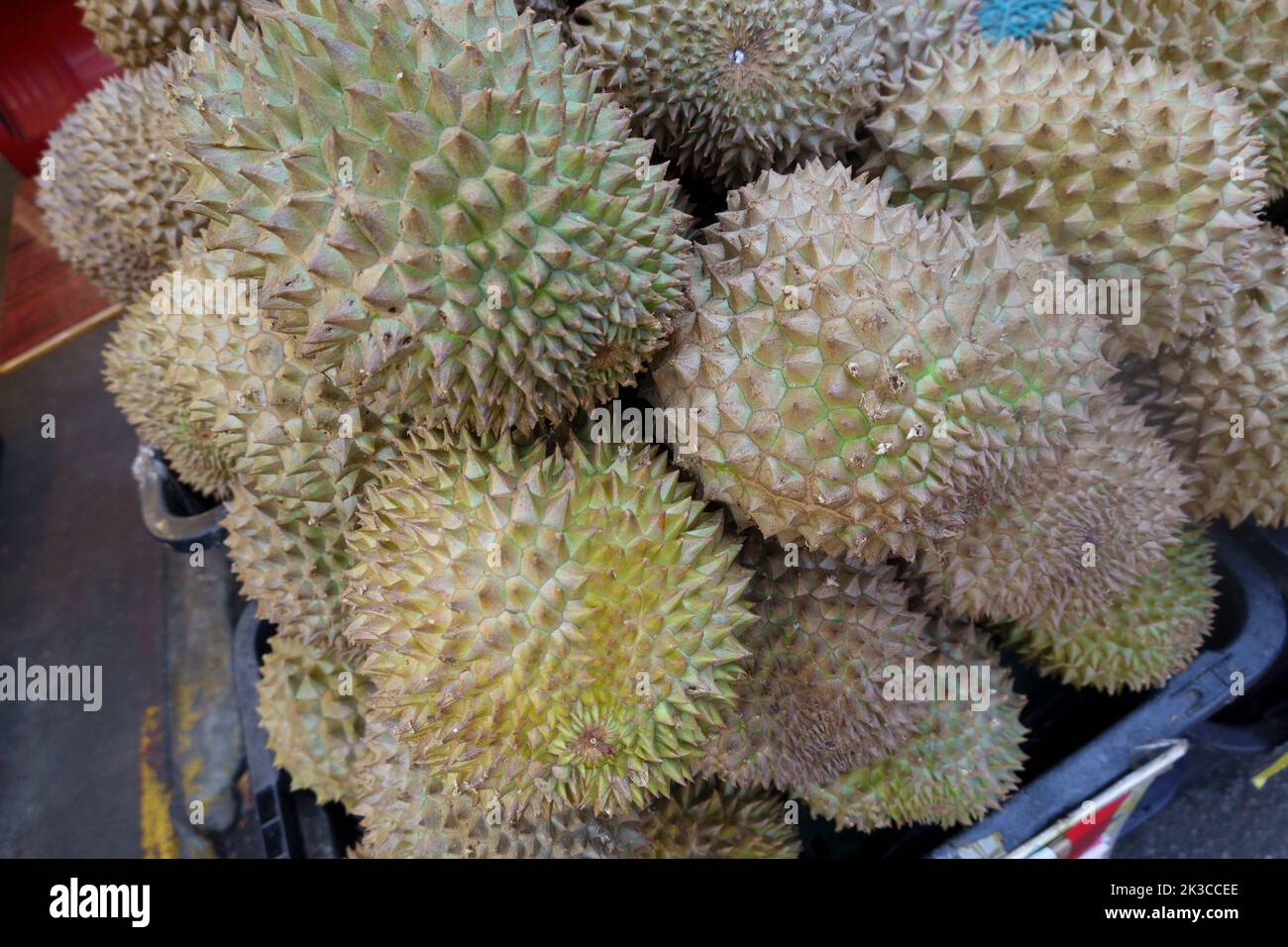 Singapore, 24 luglio 2022 - durian maturo pronto per la vendita. Foto Stock