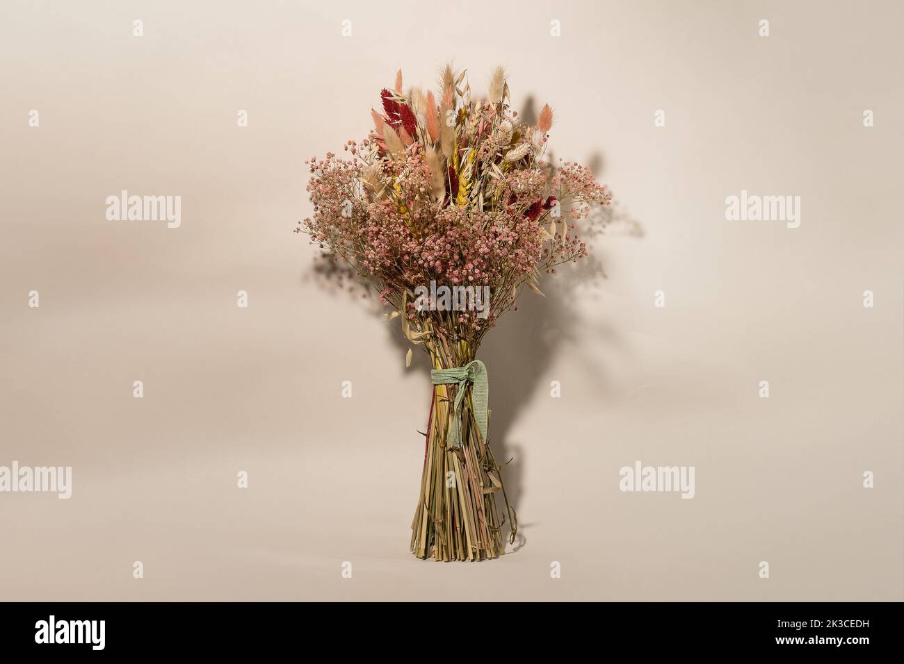 Fiore secco isolato su sfondo marrone. Concetto autunnale con fiori secchi. Foto Stock