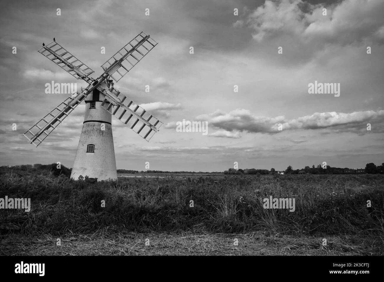 Thurne pompa mulino a vento nel Norfolk Broads sulla costa sud-orientale dell'Inghilterra Foto Stock
