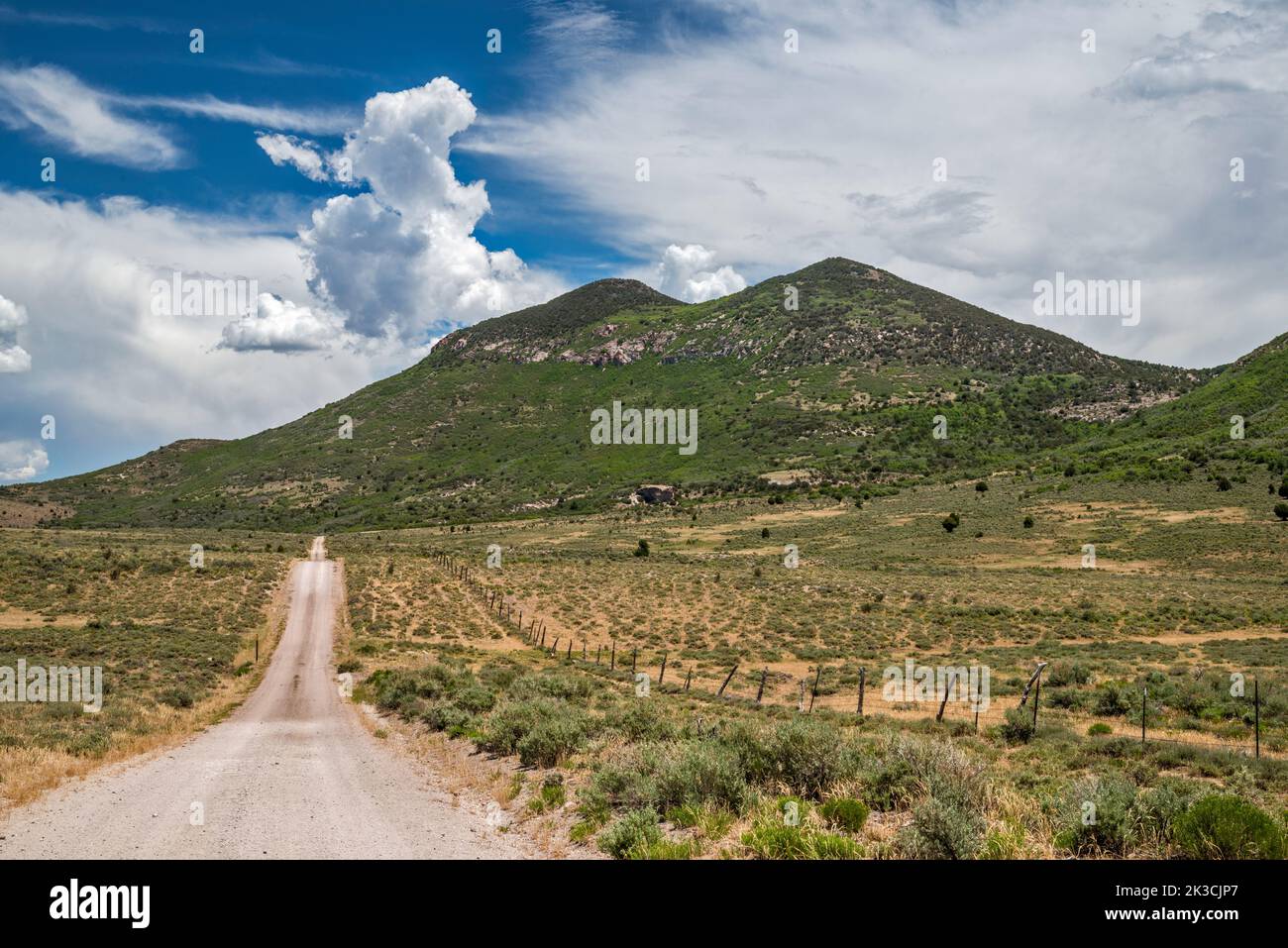 Marys Nipple, Mud Spring Hollow Road, FR 106, County Rd 17, Pahvant Range, Fishlake National Forest, Vicino a Kanosh, Utah, Stati Uniti Foto Stock