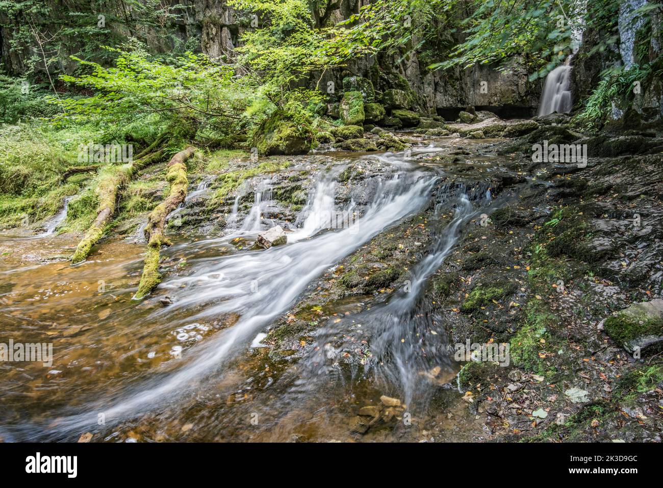 Catrigg Force, una cascata di Yorkshire Dales in una copse boscosa vicino Stainforth nel North Yorkshire, Regno Unito. Foto Stock