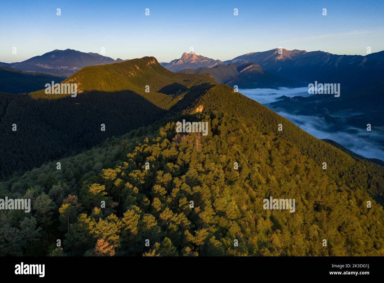 Veduta aerea del santuario Falgars e della catena montuosa di Catllaràs all'alba con nebbia nella valle di Lillet (Berguedà, Barcellona, Catalogna, Spagna) Foto Stock