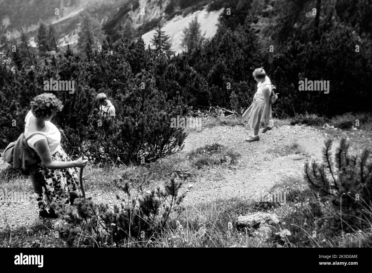 Die Familie des Fotografen wandert im Saalfeldener Becken, Salzburger Land, 1960. La famiglia del fotografo fa escursioni nel bacino di Saalfelden, nella regione di Salisburgo, 1960. Foto Stock
