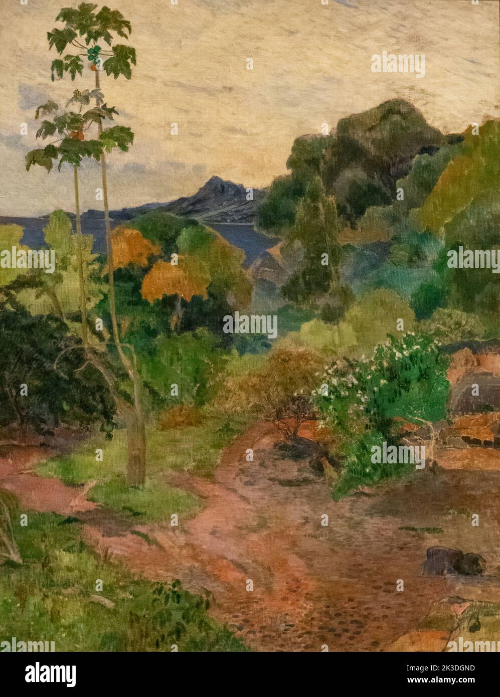 Paesaggio della Martinica di Paul Gauguin nella National Gallery of Scotland Foto Stock Paesaggio della Martinica di Paul Gauguin nella National Gallery of Scotland Foto Stock