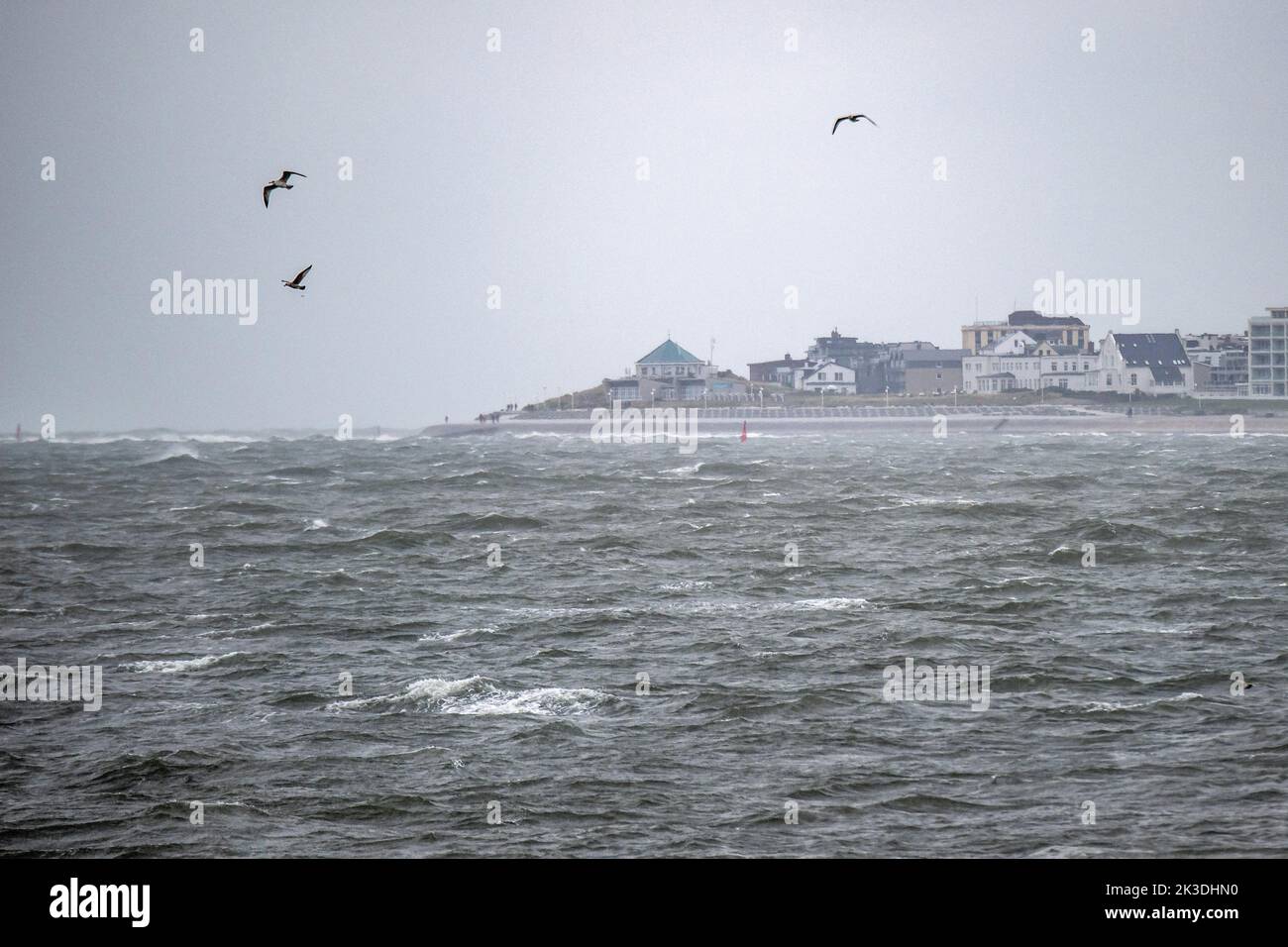 26 settembre 2022, bassa Sassonia, Norderney: I gabbiani volano sul Mare del Nord al largo dell'isola di Norderney, nella frisia orientale, con il tempo tempestoso. Foto: Sina Schuldt/dpa Foto Stock