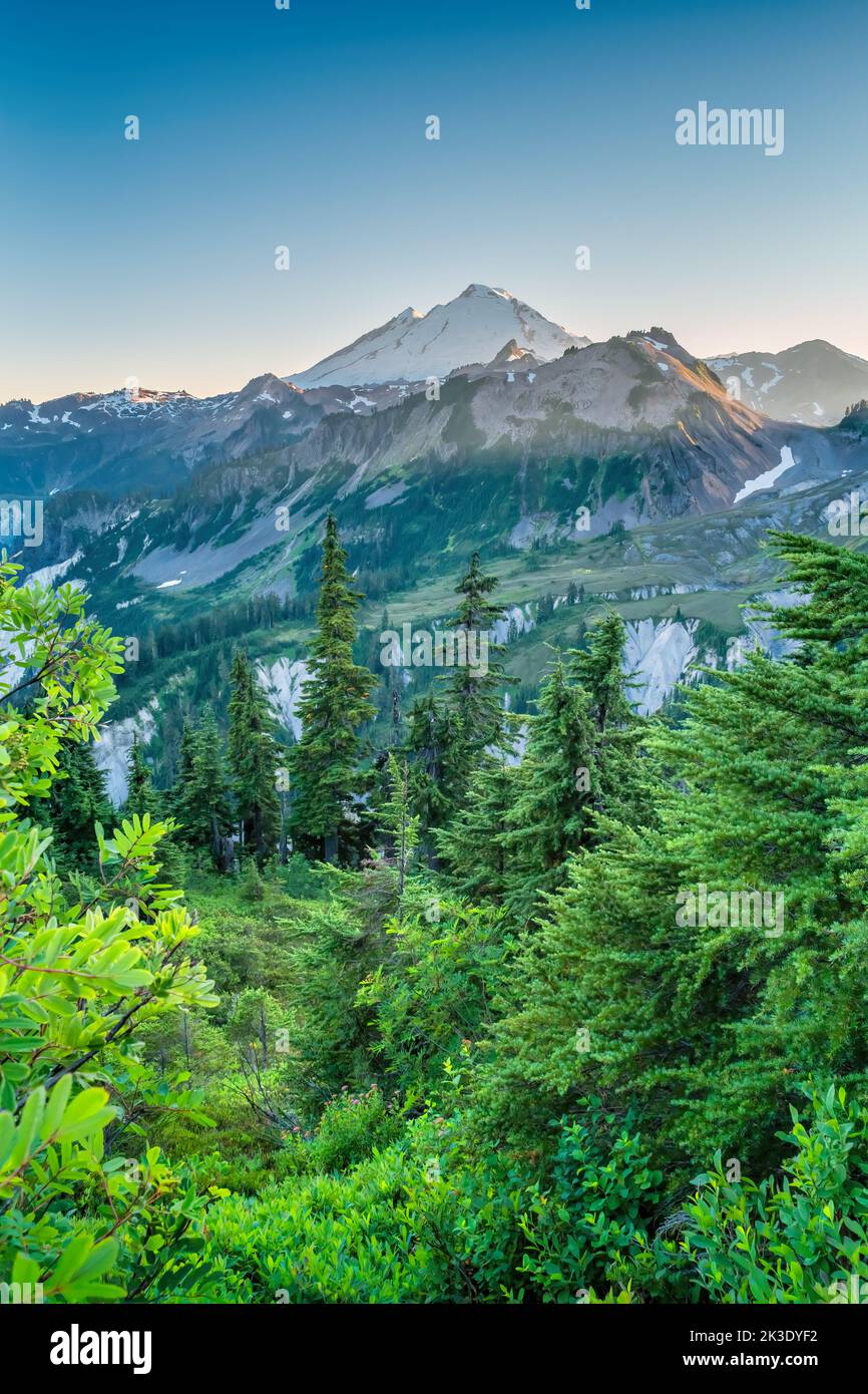 Mount Baker Washington STATI UNITI D'AMERICA Foto Stock