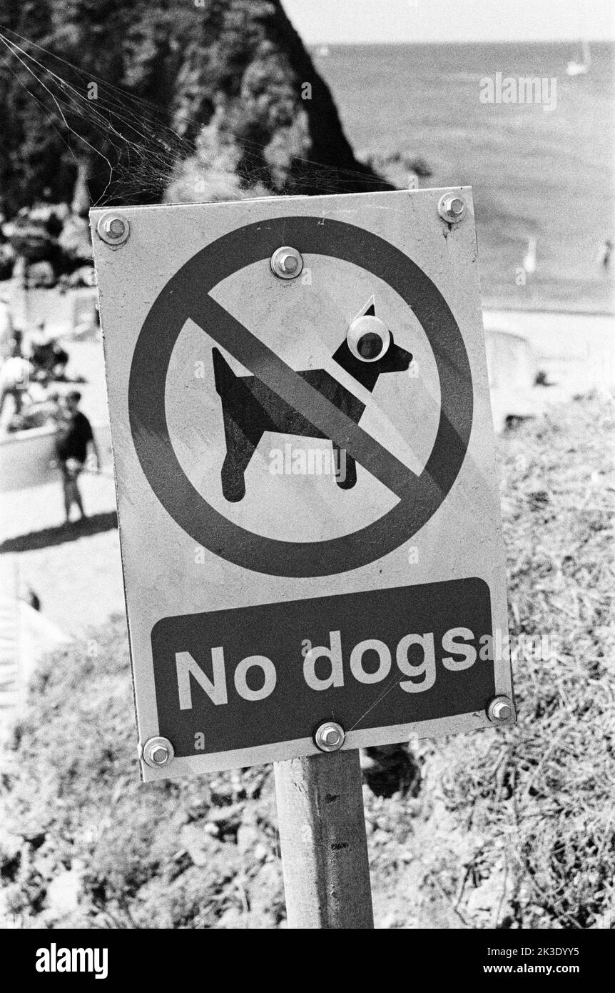 No Dogs segno, Hope Cove, South Devon, Inghilterra, Regno Unito. Foto Stock