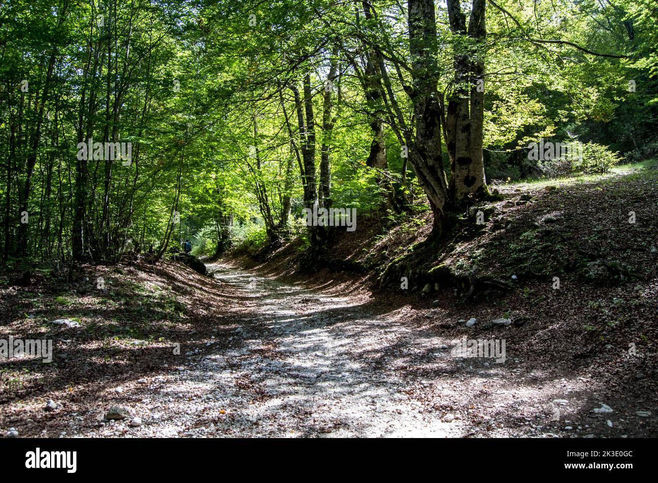 Opi, Italia. 25th Set, 2022. Escursione in Val Fondillo, una valle montana del Parco Nazionale d'Abruzzo situata nel comune di Opi. Nel 2017 è stato riconosciuto come patrimonio mondiale dell'UNESCO (Foto di Patrizia CORTELLESSA/Pacific Press) Credit: Pacific Press Media Production Corp./Alamy Live News Foto Stock