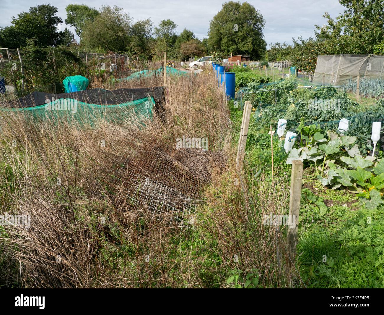 Due assegnazioni uno produttivo uno è cresciuto. Foto Stock Due assegnazioni uno produttivo uno è cresciuto. Foto Stock