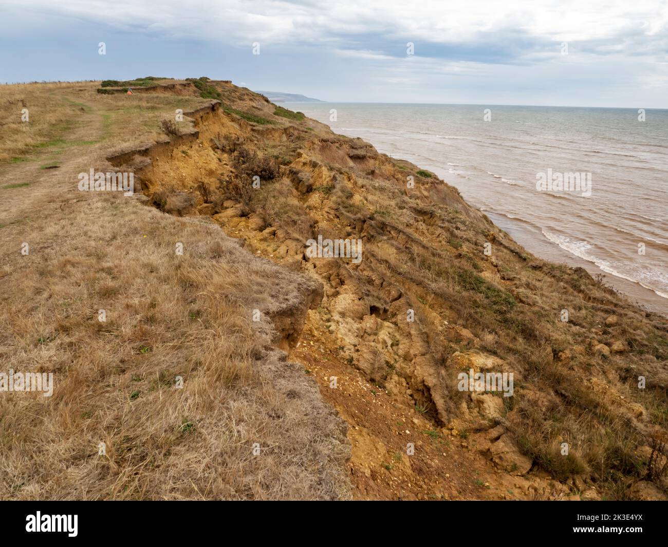 Le morbide scogliere costiere crollano nel punto di Atherfield sull'Isola di White, Regno Unito. Foto Stock