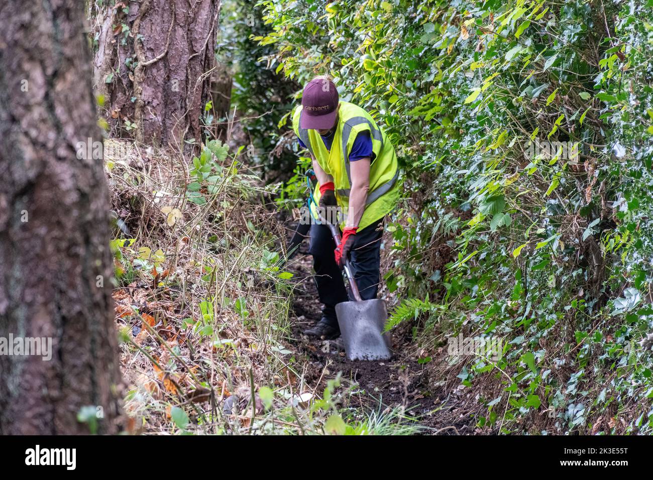 Persona che sgombrano le foglie e i detriti da un fosso a mano con una pala, prevenendo le alluvioni, Regno Unito, durante l'autunno Foto Stock