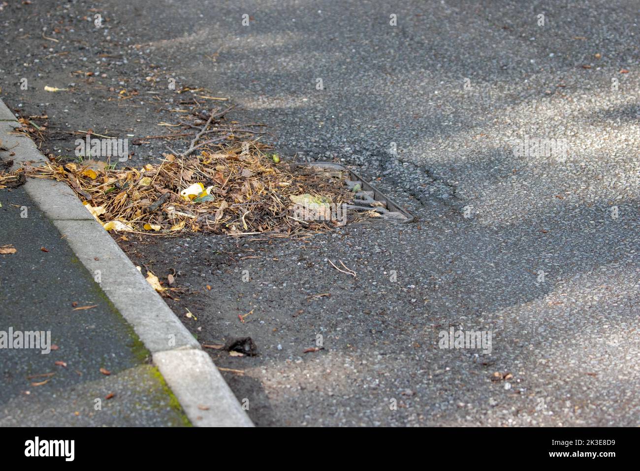 Drenaggio stradale bloccato con foglie dopo forte pioggia, Regno Unito Foto Stock