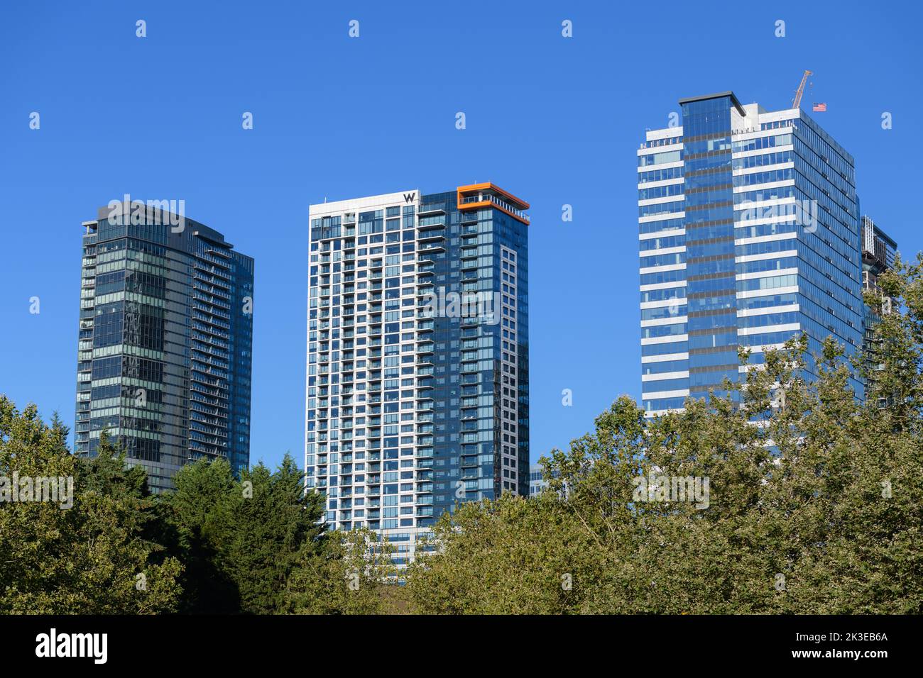Bellevue, WA, USA - 07 settembre 2022; grattacieli a uso misto a Bellevue, inclusi W e Westin hotel contro il cielo blu con albero fogliame in primo piano Foto Stock