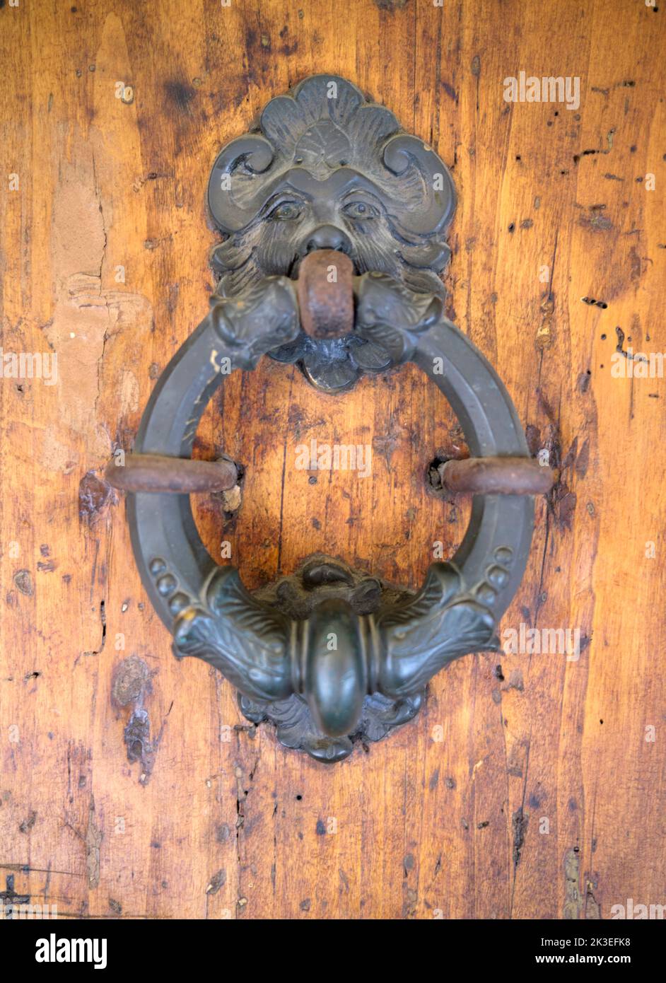 Porta ornata Knocker Casa Giorgio Morandi Bologna Italia Foto Stock