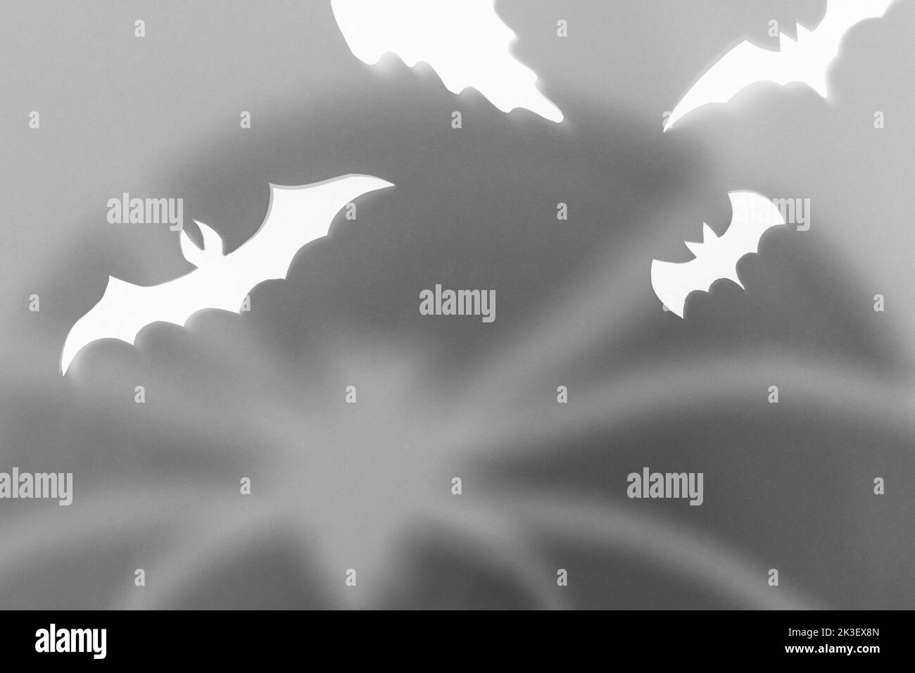 Buon Halloween! Fantasmi e pipistrelli neri con ombre di ragno su sfondo scuro. Modello creativo di Halloween malvagio con spazio per tex Foto Stock