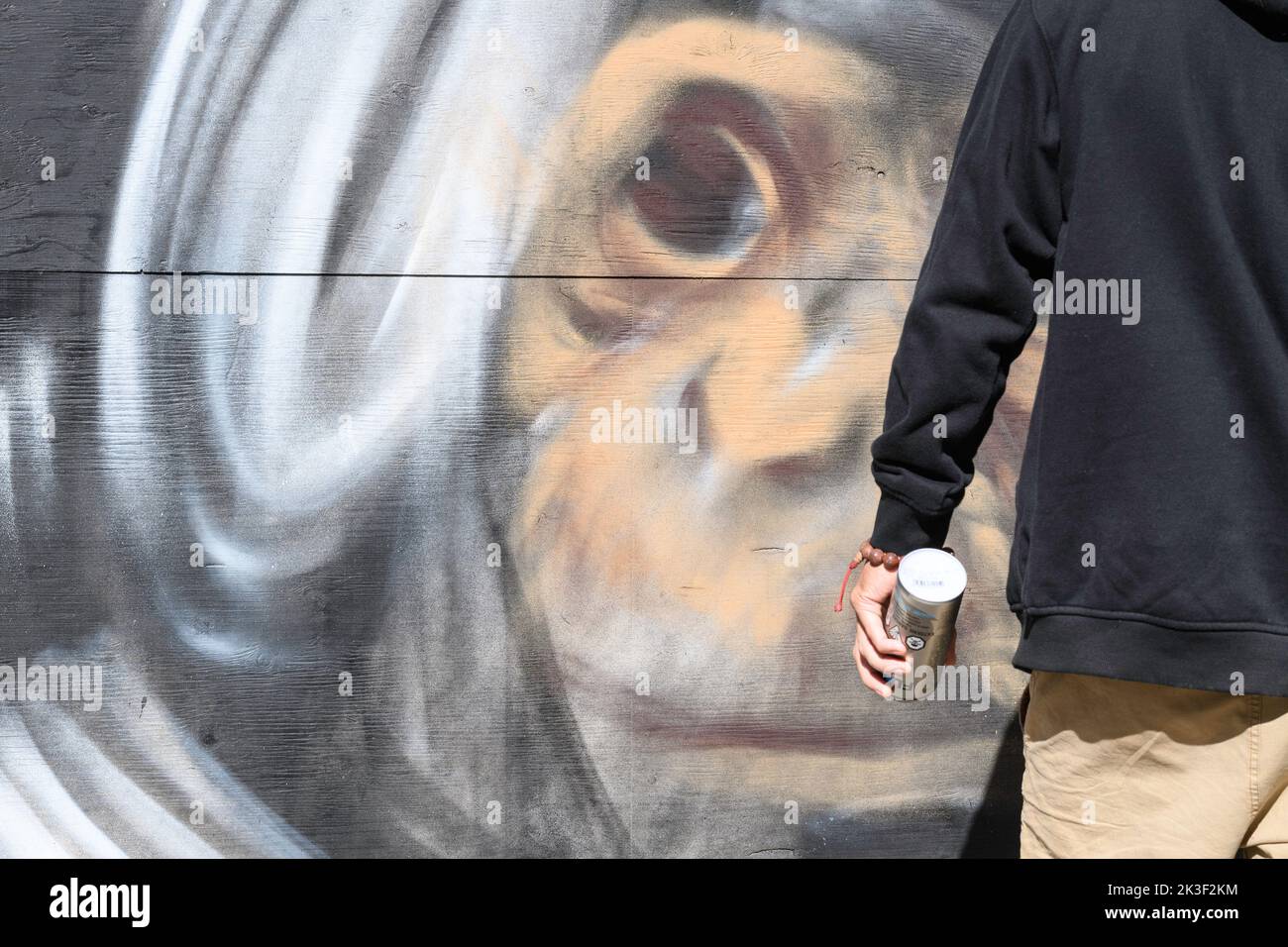 L'artista Graffiti dipinge un ritratto di un cosmonaut scimmia su un muro durante il Beakerhead Festival a Calgary, Alberta Canada Foto Stock
