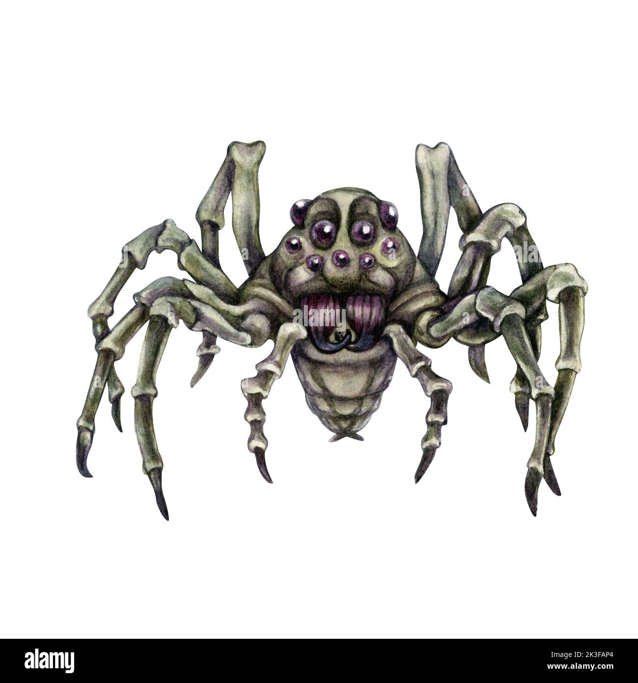 Ragni acquerelli disegnati a mano di Halloween per menu, adesivi, biglietti d'auguri, inviti, banner, bordi, mascherata, decorazioni per feste. Foto Stock