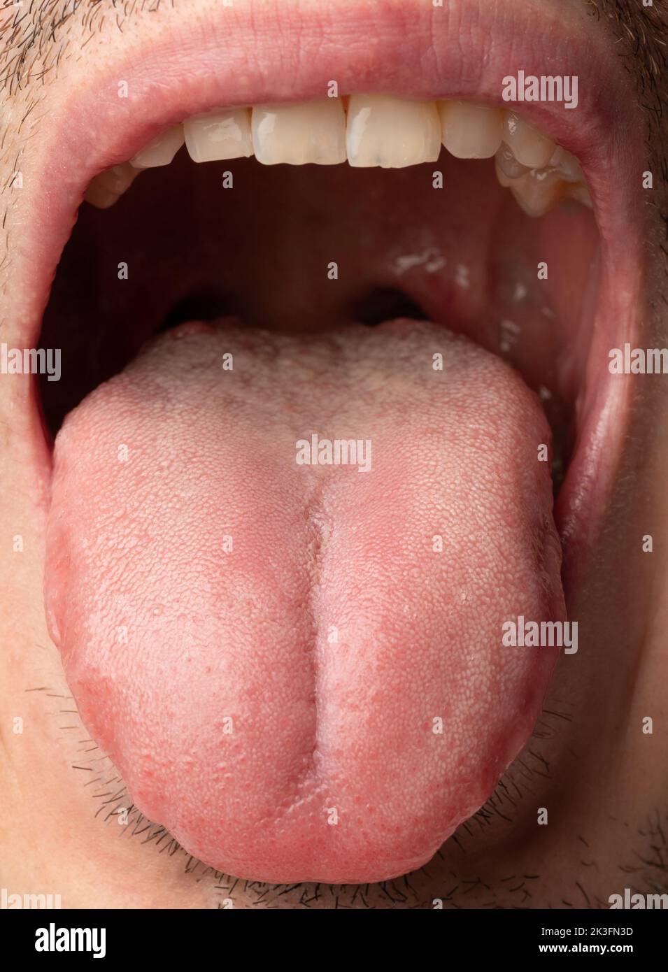 Uomo pulito lingua rosa in bocca aperta vista ravvicinata Foto Stock